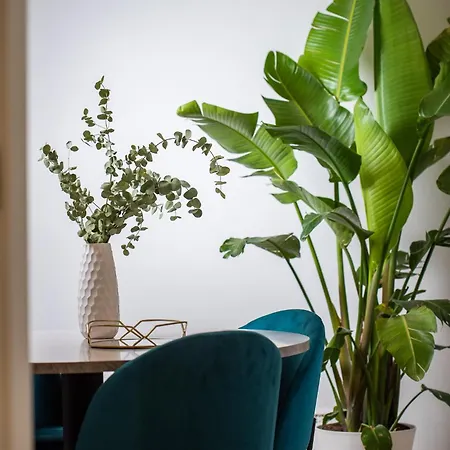 Design Flat In Nolo * Milano